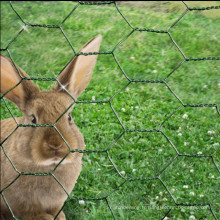 fil de poulet maille lapin clôture vert PVC manteau en acier de jardin